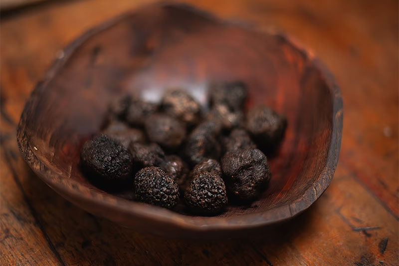 The Truffle Farm